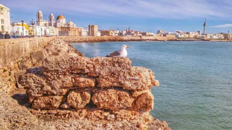 We tell you three unique experiences in Cadiz