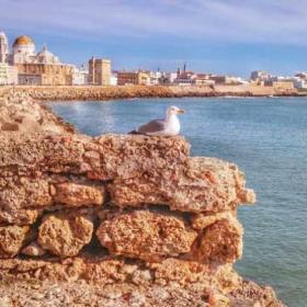 Te contamos tres experiencias únicas en Cádiz