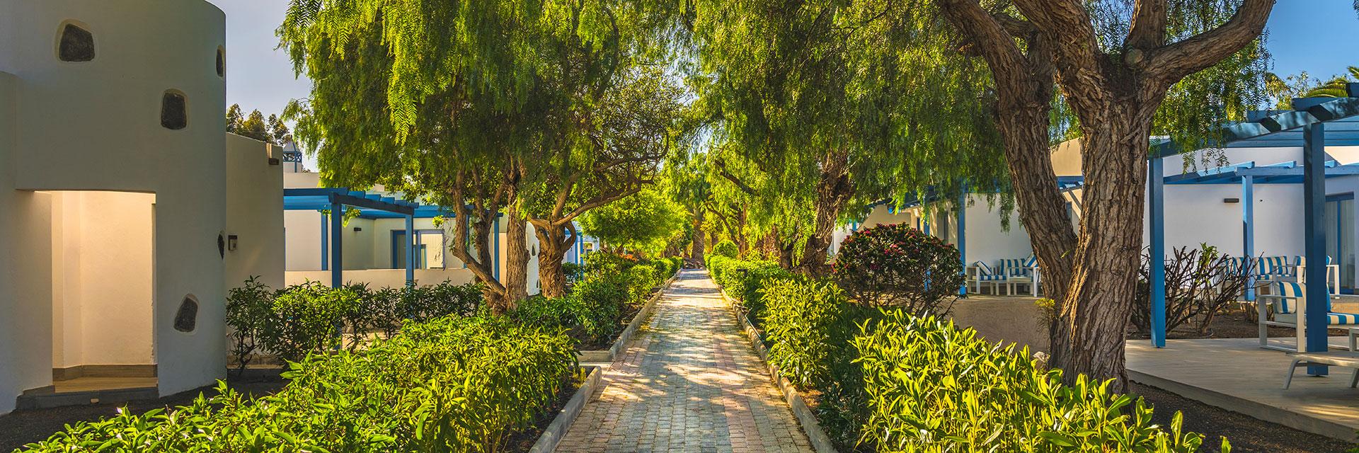 Jardines Elba Lanzarote Royal Village