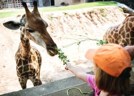 Oasis Wild Park